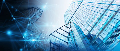 強化信息技術(shù)對國家治理體系和治理能力現(xiàn)代化的支撐